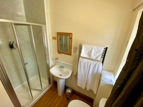 金斯布里奇格洛布宾馆的一间带玻璃淋浴和水槽的浴室