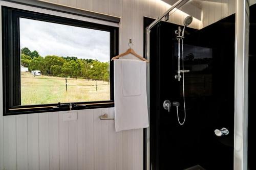 MacclesfieldThe Meadows Tiny House的带淋浴间和窗户的浴室