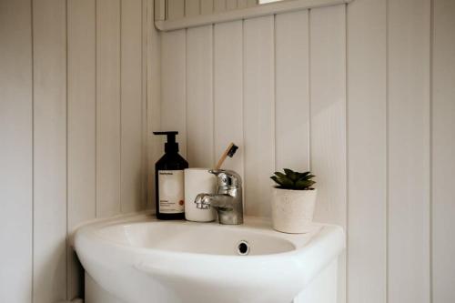 KurrajongHidden Creek Tiny Home的白色浴室水槽、一瓶葡萄酒和一瓶