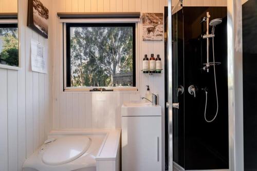 Howes CreekSummer Lea 2的浴室配有卫生间、盥洗盆和淋浴。