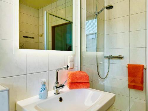 Geyer豪斯费格度假酒店的一间带水槽和淋浴的浴室