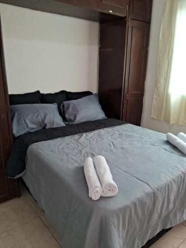 贝洛奥里藏特Casa espaçosa em Belo Horizonte的床上有两条毛巾
