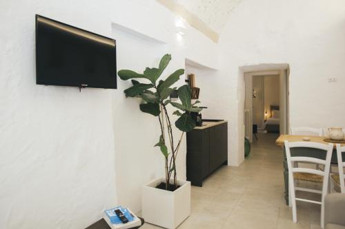 莱切Mediterranee Suite的一间带电视和盆栽植物的客厅