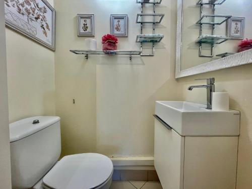 博索莱伊2 Rooms In Luxury Residence Bordering Monaco的一间带卫生间和水槽的浴室