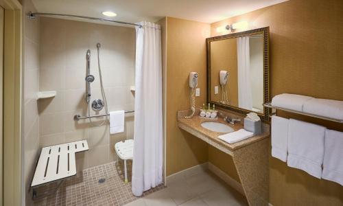 亨茨维尔亨茨维尔智选假日套房酒店的一间带水槽和淋浴的浴室