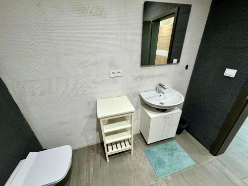 布拉格Byt apartman 74m2 vyhled klid priroda的一间带水槽、卫生间和镜子的浴室