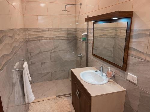 阿克拉Sky Suites Osu的浴室配有盥洗盆和带镜子的淋浴