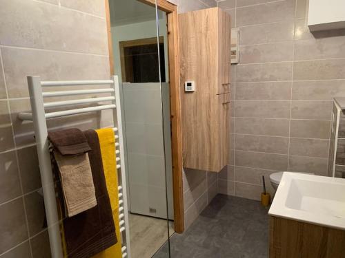 比桑Appartement 2/4 personnes的带淋浴、卫生间和盥洗盆的浴室