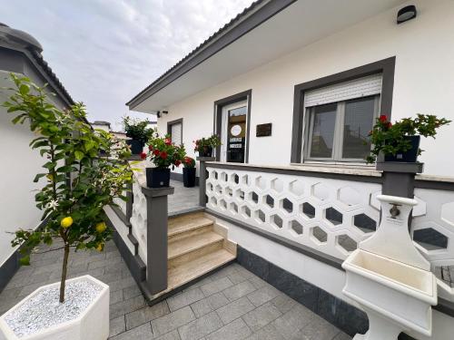 菲乌米奇诺Kalasó Design Guest House的阳台上种植了盆栽植物的白色房子