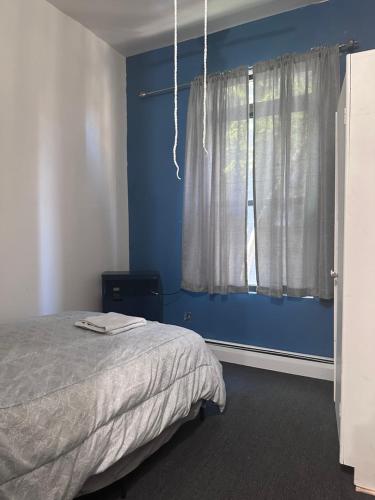 纽约Macaw Guest House的一间卧室设有一张床和蓝色的墙壁