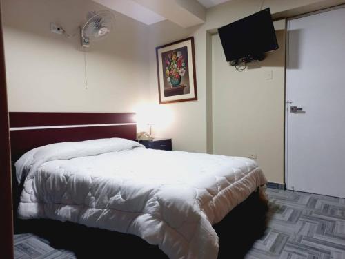 利马Hotel Perú Pacífico的一间卧室配有一张床和一台平面电视