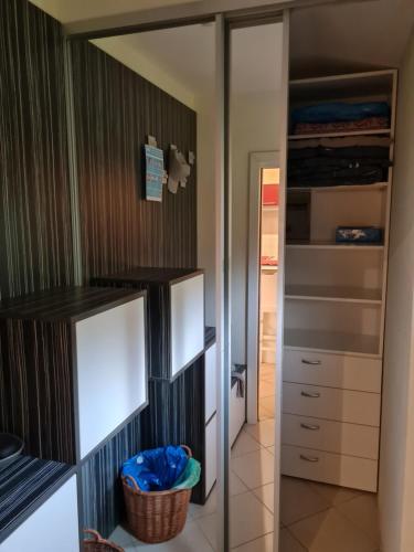 塞科夫列Apartma Istra Zora的一间卧室设有步入式衣柜