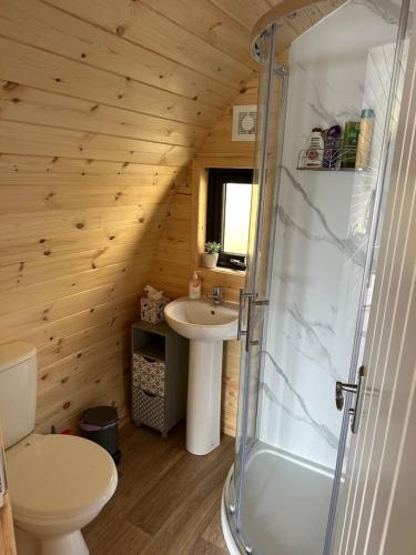 莱尔格Lochside Lodge Pod的带淋浴、卫生间和盥洗盆的浴室