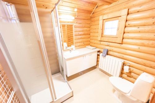 Ólafsfjörður布里姆内斯别墅酒店的带淋浴、卫生间和盥洗盆的浴室