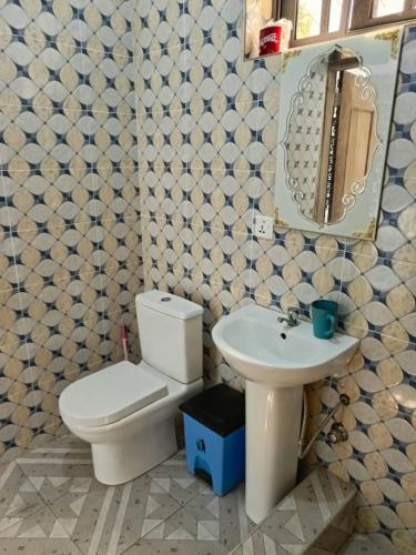 BusuaPalm Grove lodge的一间带卫生间和水槽的浴室