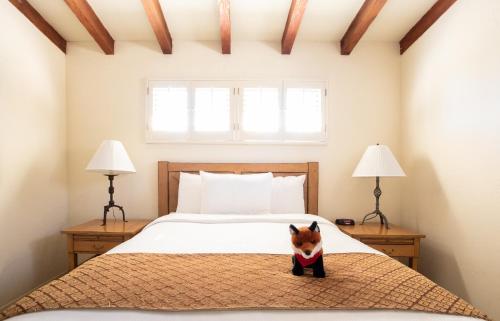 博雷戈斯普林斯La Casa Del Zorro Resort & Spa的一只小狗坐在床上