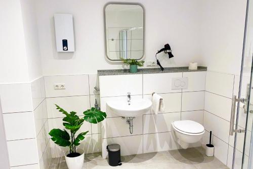 门兴格拉德巴赫Großzügiges City-Apartment in Mönchengladbach的一间带水槽、卫生间和镜子的浴室