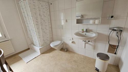 AltnauMBar Apartment的一间带卫生间和水槽的浴室