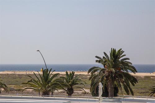 莫罗德哈布雷Casa Ari, Beautiful Ocean View的享有棕榈树海滩和大海的景色
