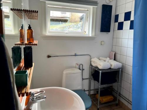 索茨霍巴根Small Seaside Cottage的一间带水槽和卫生间的浴室以及窗户。