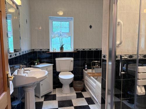 CastlereaThe Lodge Self Catering的浴室配有卫生间、盥洗盆和浴缸。