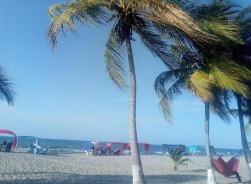 科韦尼亚斯Cabaña la isla的两棵棕榈树,位于蓝天沙滩上