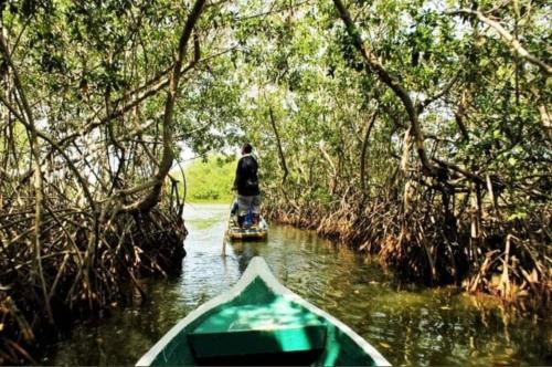 科韦尼亚斯Cabaña la isla的一个人在森林里沿着河流乘船