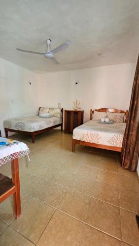 巴卡拉尔Casa Coral的一间卧室设有两张床和天花板