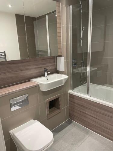 巴尔金Luxurious 2 Bedroom Apartment的一间带水槽、卫生间和淋浴的浴室