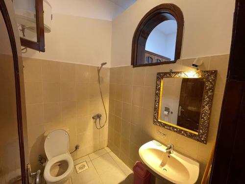 达哈布Red oasis的一间带水槽、卫生间和镜子的浴室
