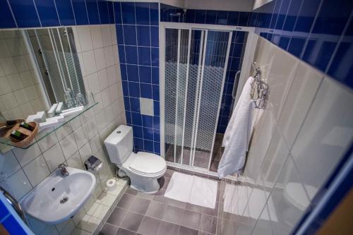 瓦尔米耶拉Sports Hotel的蓝色和白色的浴室设有卫生间和水槽