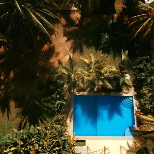 奇南德加The captains iin的享有棕榈树蓝色泳池的景致
