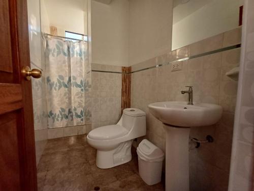 库斯科Hotel Qori Punku的一间带卫生间和水槽的浴室