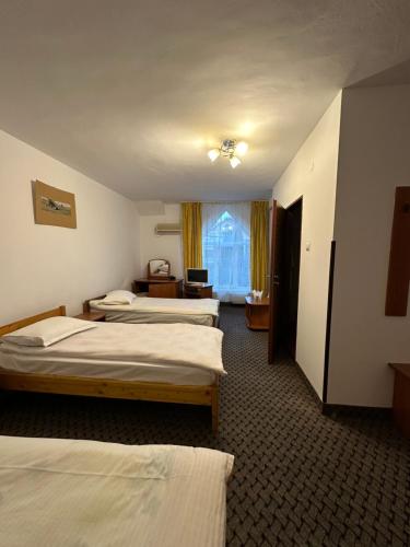 克卢日-纳波卡Alesiv的酒店客房设有三张床和窗户。