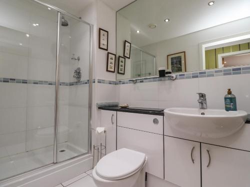 锡豪西斯Puffin View的带淋浴、卫生间和盥洗盆的浴室