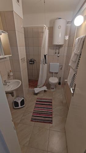 奥西耶克Green Garden Group Accommodation的带淋浴、卫生间和盥洗盆的浴室