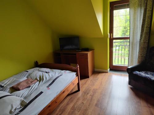 雅罗斯瓦夫Lwi dworek LD的一间卧室设有一张床、一台电视和一个窗口。