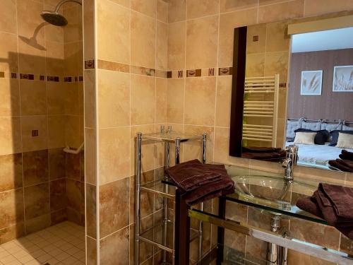 索恩河畔贝尔维尔Domaine de la Noiseraie - Suites spacieuses的带淋浴、盥洗盆和镜子的浴室