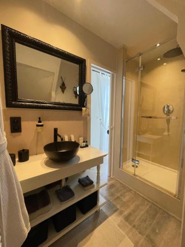 克诺克－海斯特B&B Grain de Sable的一间带水槽和淋浴的浴室