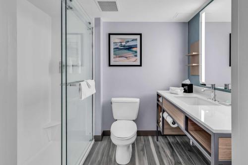 默特尔比奇美特尔海滩/沿海大商场希尔顿花园旅馆的一间带卫生间和水槽的浴室