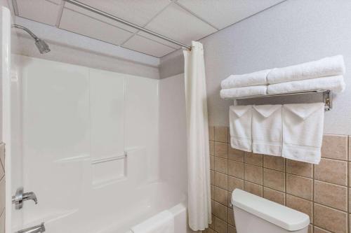 戴德伍德Travelodge by Wyndham Deadwood的带淋浴、卫生间和毛巾的浴室