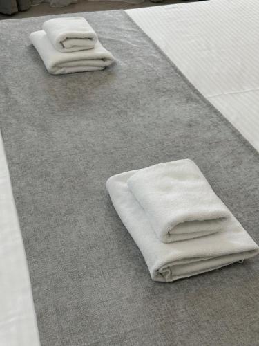 阿斯塔纳PORT INN Hotel的地毯上三条白色毛巾