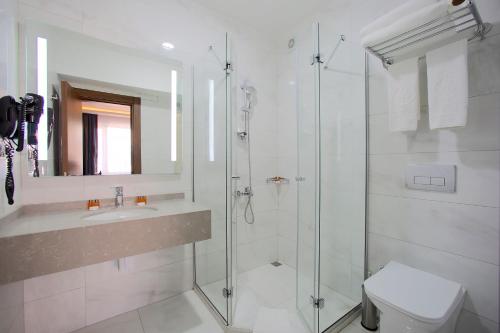 伊斯坦布尔艾菲尔酒店的带淋浴、盥洗盆和卫生间的浴室