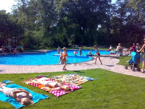 DiffelenFamiliepark de Vechtvallei的一群人在游泳池里躺在毛巾上