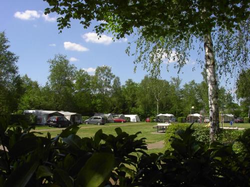 DiffelenFamiliepark de Vechtvallei的一群在树丛中的帐篷