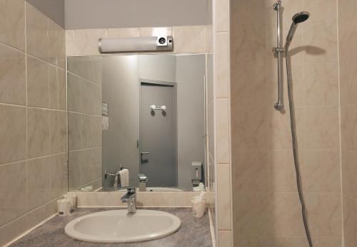 普里瓦Hotel Restaurant Les Chataigniers的浴室配有盥洗盆和带镜子的淋浴
