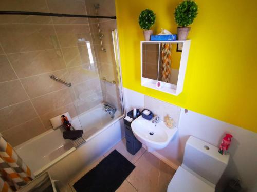 贝尔法斯特3br Cosy Modern Stay的一间带水槽、淋浴和卫生间的浴室