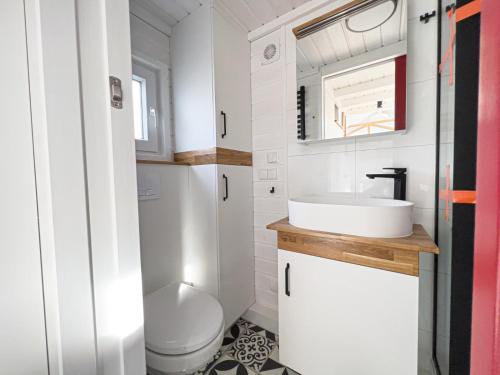 索波特Red Tiny House Sopot的一间带卫生间和水槽的浴室