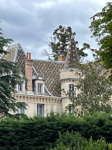 伊居利Grand appartement d'exception au Château Randin的一座大房子,上面有一座塔