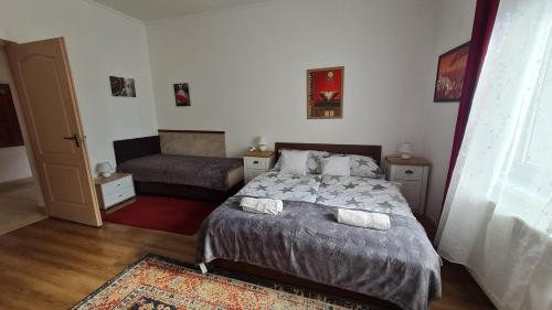 多瑙凯西Dunakeszi Nap Apartman的一间带床和沙发的小卧室